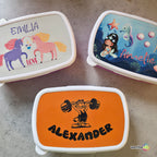 Lunchbox mit Teiler